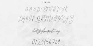 Good Wish Signature font Poster 1