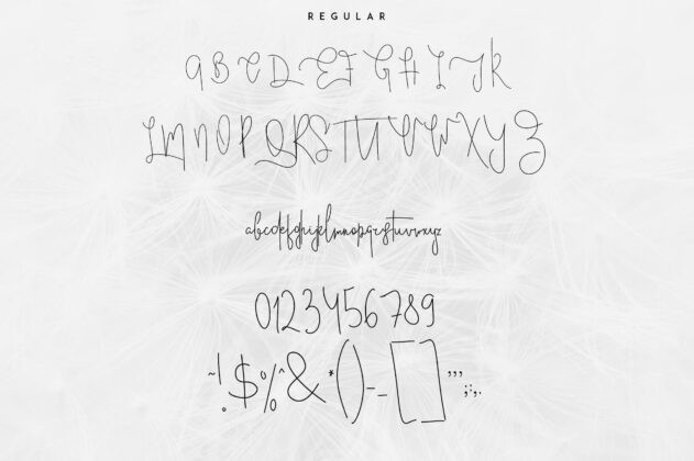 Good Wish Signature font Poster 5