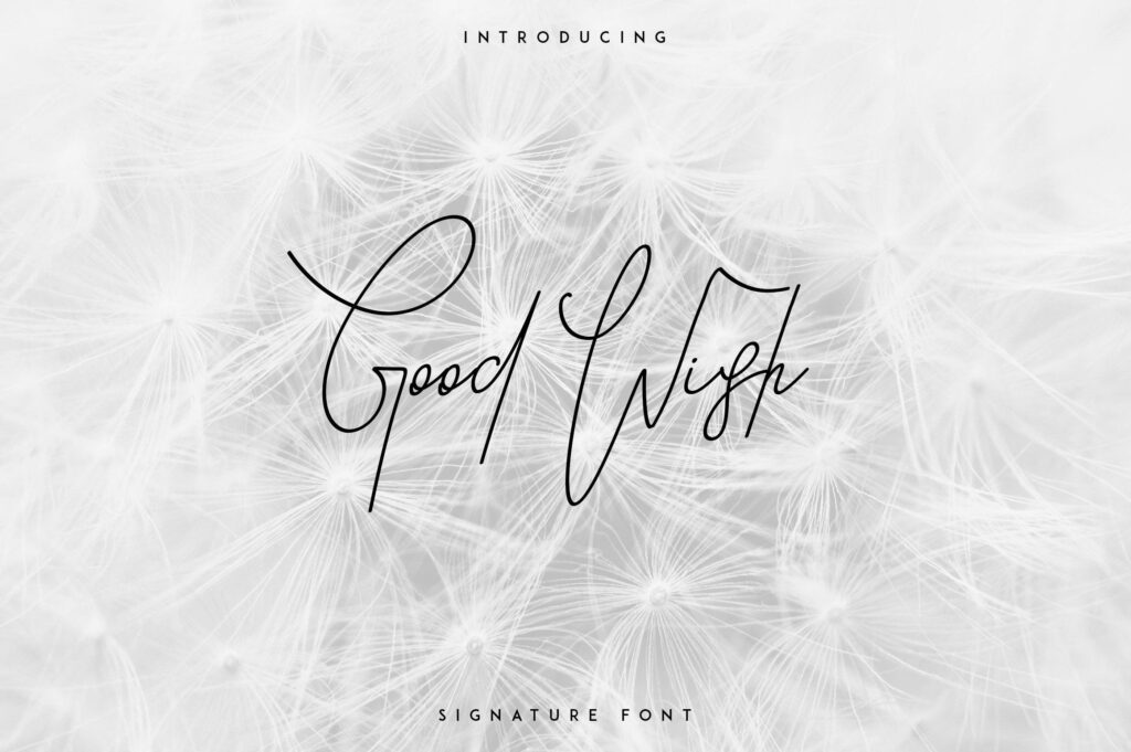 Good Wish Signature font Poster 8