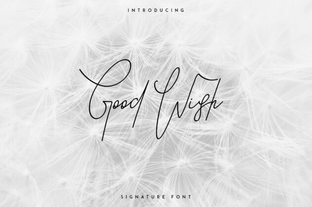 Good Wish Signature font Poster 8