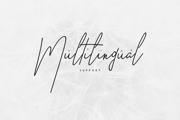 Good Wish Signature font Poster 9