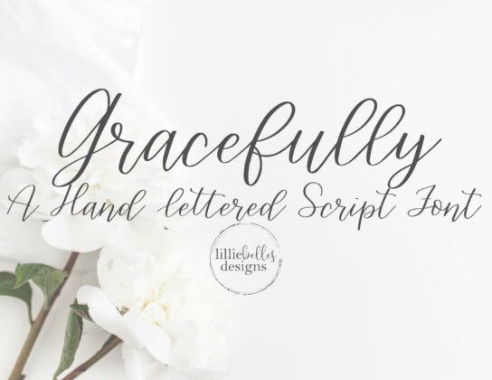 Gracefully Hand lettered font Poster 3