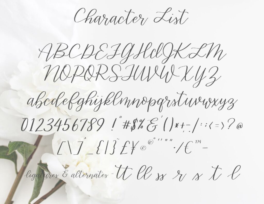 Gracefully Hand lettered font Poster 4