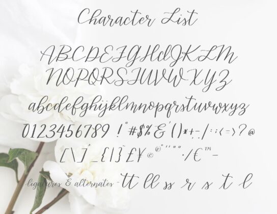 Gracefully Hand lettered font Poster 4