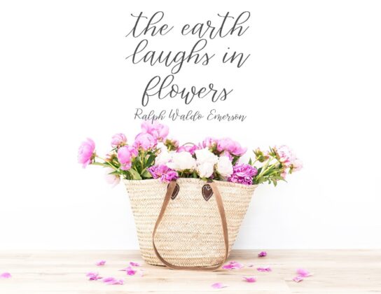 Gracefully Hand lettered font Poster 5