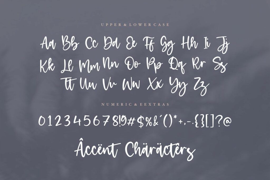Granite  Modern Script Font Poster 3