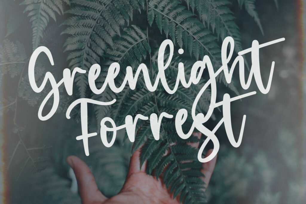 Granite  Modern Script Font Poster 6