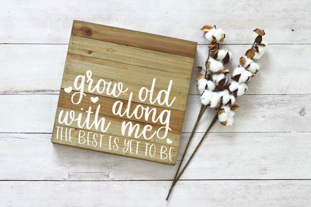 Grapefruit Delight - Hand Lettered Script Font Poster 9