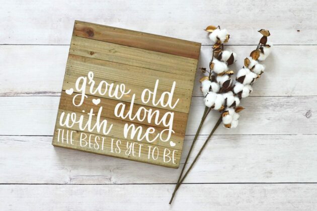 Grapefruit Delight - Hand Lettered Script Font Poster 9