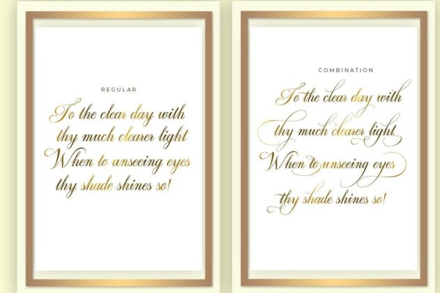 Graphitel Script Plus Ornament Poster 2