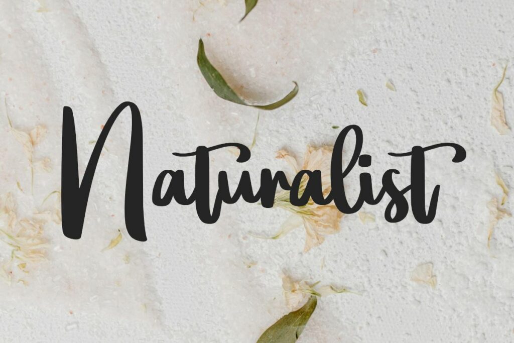Grinch - Natural Handwritten Font Poster 3