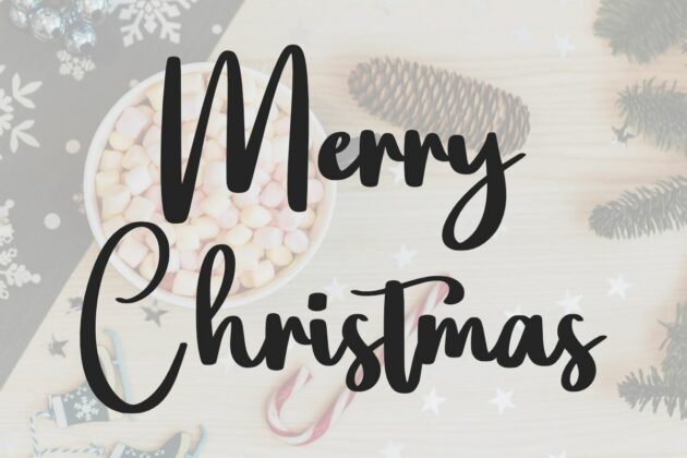Grinch - Natural Handwritten Font Poster 4