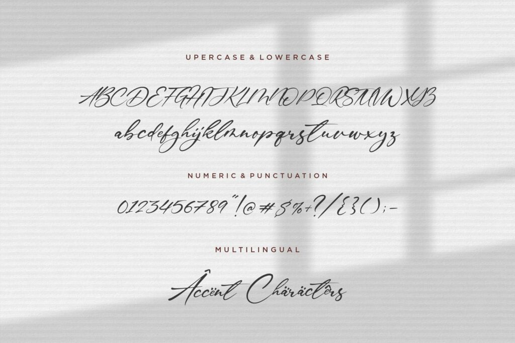 Gustavo Eastwood Handwritten Script Font Poster 5