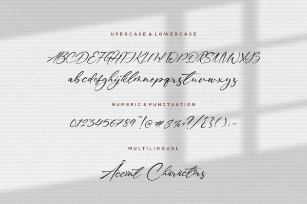 Gustavo Eastwood Handwritten Script Font Poster 5