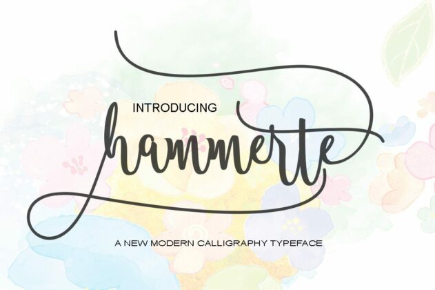 Hammerte Poster 1