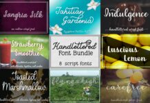Handlettered Font Bundle - 8 Script Fonts Poster 1