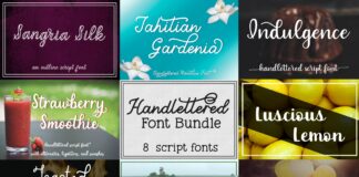 Handlettered Font Bundle - 8 Script Fonts Poster 1