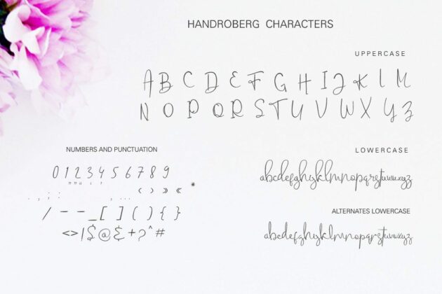 Handroberg font Poster 2