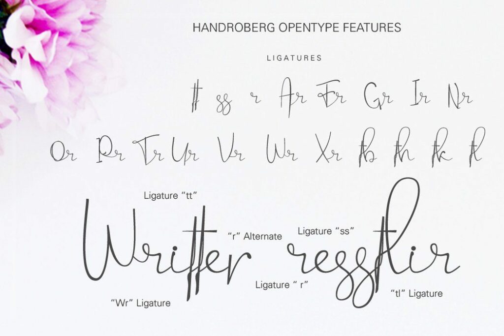 Handroberg font Poster 8