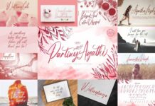 Handwritten Font Bundle Vol 1 Poster 1