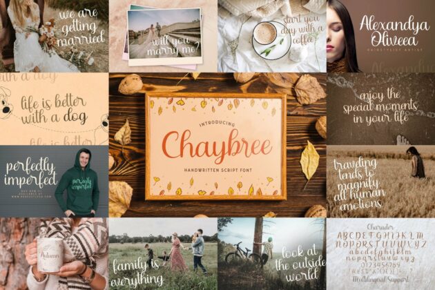 Handwritten Font Bundle Vol 14 Poster 2