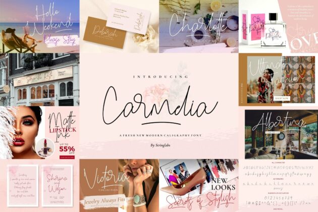 Handwritten Font Bundle Vol 18 Poster 9