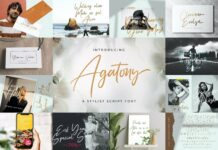 Handwritten Font Bundle Vol 5 Poster 1