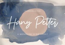 Hany Petter - Handwritten Font Poster 1