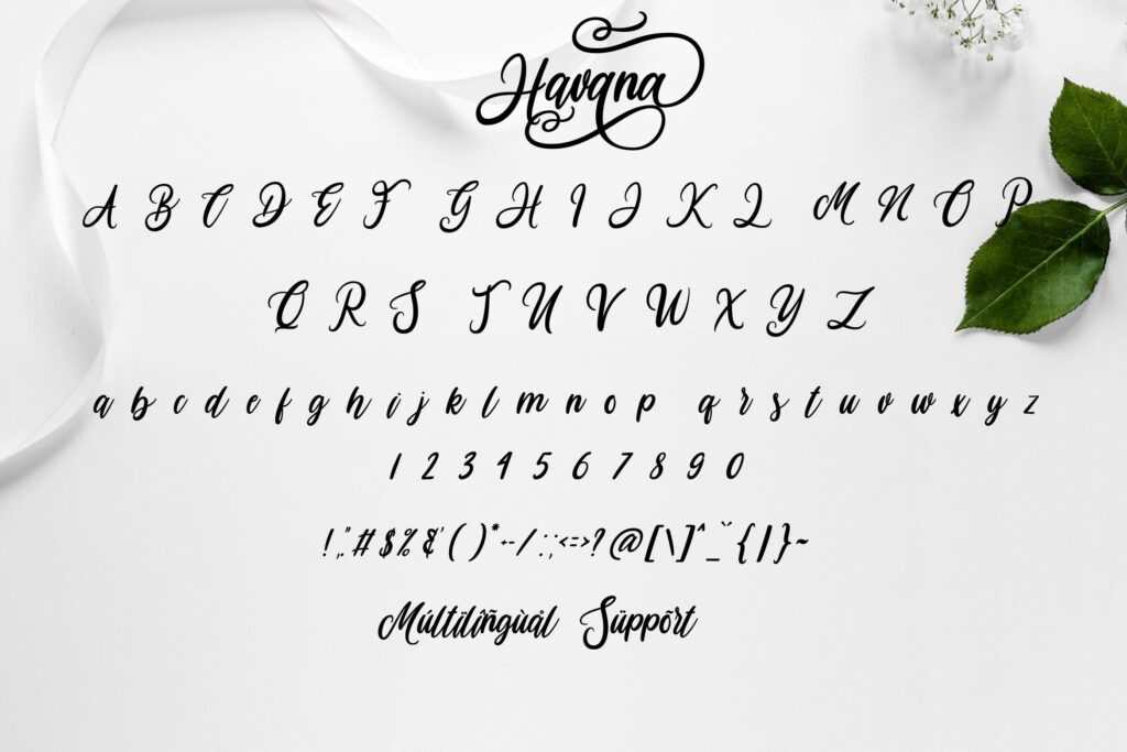 Havana - a Modern Script Poster 4