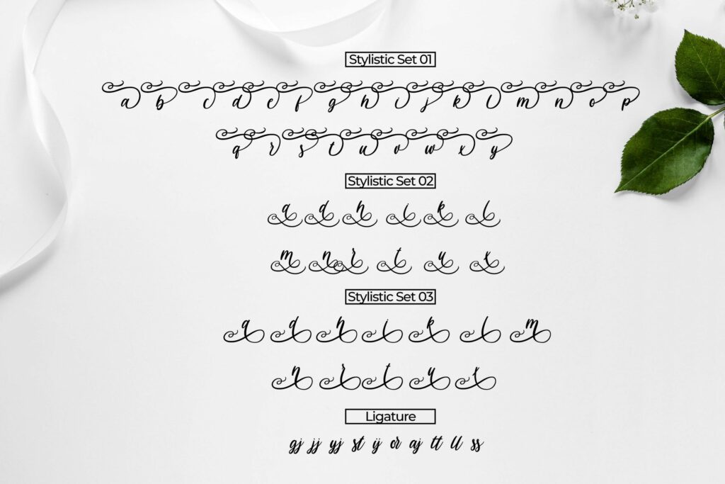 Havana - a Modern Script Poster 7