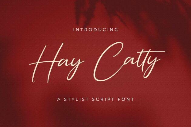 Hay Catty - Handwritten Font Poster 2