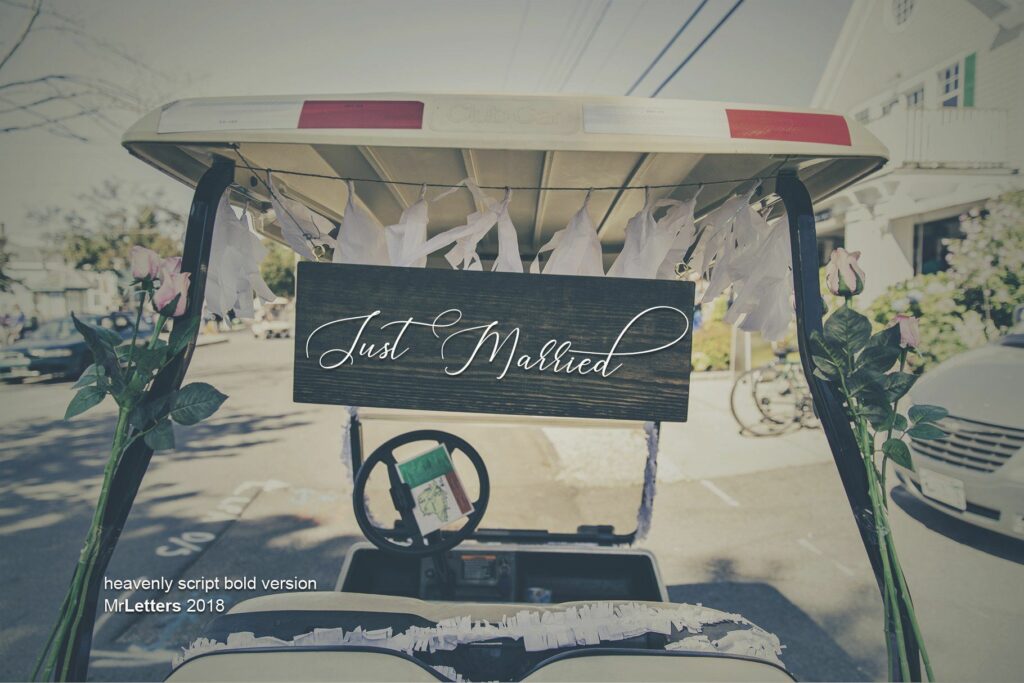 Heavenly Script Poster 5