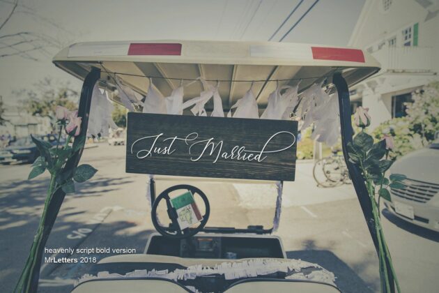 Heavenly Script Poster 5