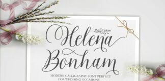 Helena Bonham Poster 1