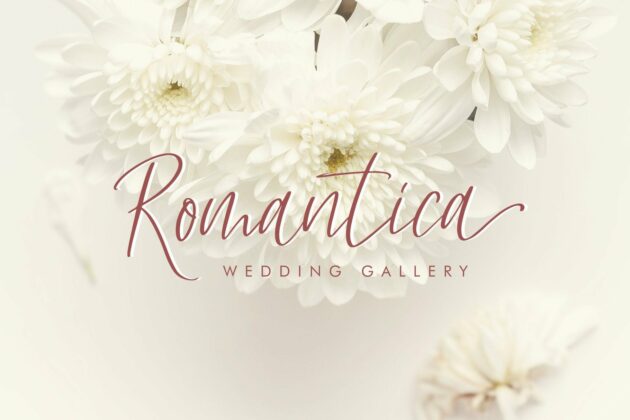 Hellena - Handwritten Script Font Poster 3