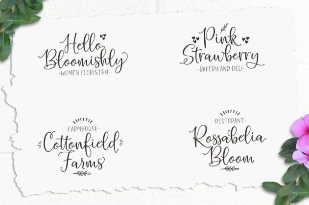 Hello Blushberry - Font Duo Poster 10
