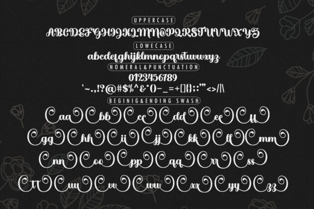Hello Cantika Script Poster 3