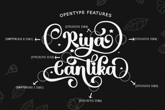 Hello Cantika Script Poster 5