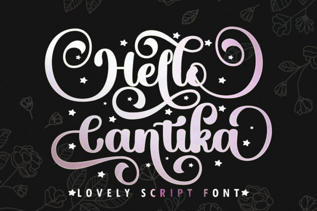 Hello Cantika Script Poster 7