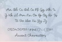 Heritage Monoline Calligraphy Font Poster 1