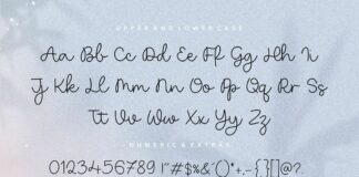Heritage Monoline Calligraphy Font Poster 1