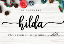 hilda script Poster 1