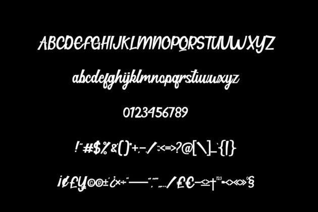 Hillton Modern Script Poster 6