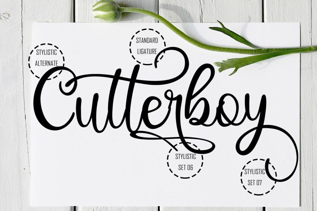 Hinatta Beauty Script Font Poster 7