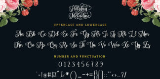 Holiday Meladine - Script Font Poster 1