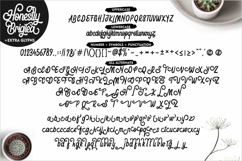 Honestly Brigtea Poster 4