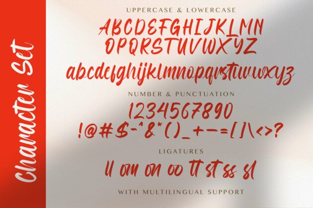 Honeymoon - Handwritten Font Poster 7