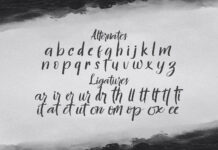 Hontizema - Handwritten Font Poster 1