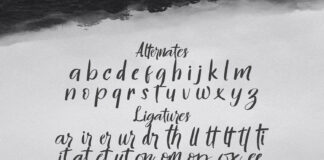Hontizema - Handwritten Font Poster 1