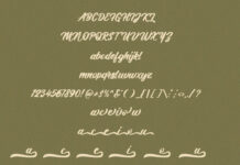 Hotline - Calligraphy Font Poster 1